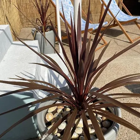 The Beachcomber, One Min From Harbour And Beach