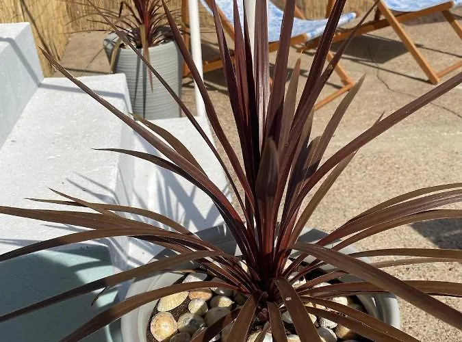 The Beachcomber, One Min From Harbour And Beach