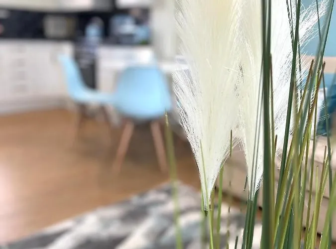 The Beachcomber, One Min From Harbour And Beach Scarborough