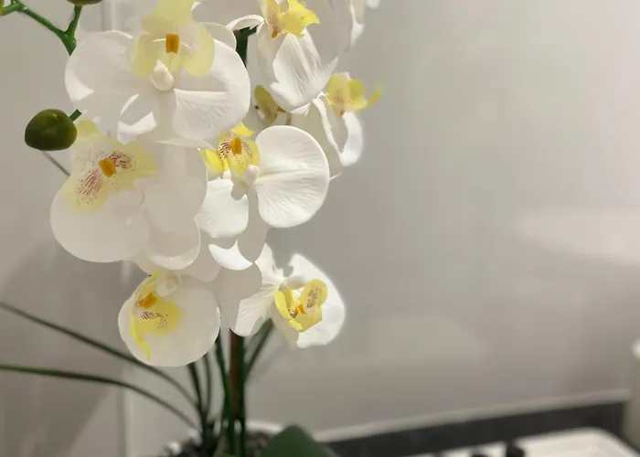 The Beachcomber, One Min From Harbour And Beach * Scarborough