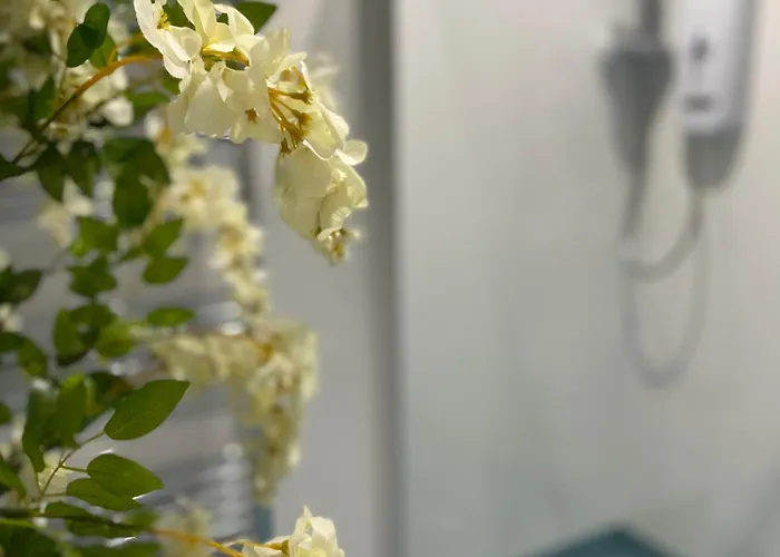 The Beachcomber, One Min From Harbour And Beach Apartamento