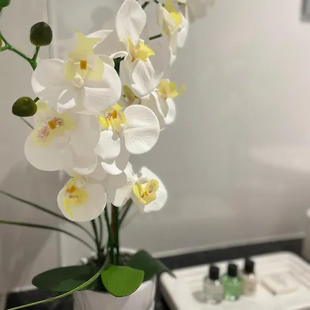 The Beachcomber, One Min From Harbour And Beach * Scarborough