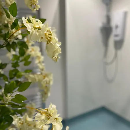 The Beachcomber, One Min From Harbour And Beach Apartment